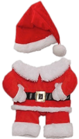 a santa outfit